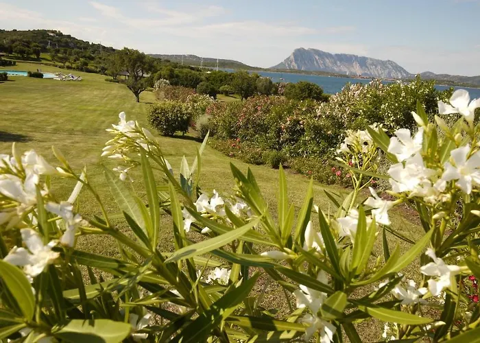 Due Lune Puntaldia & Golf 酒店 圣特奥多罗